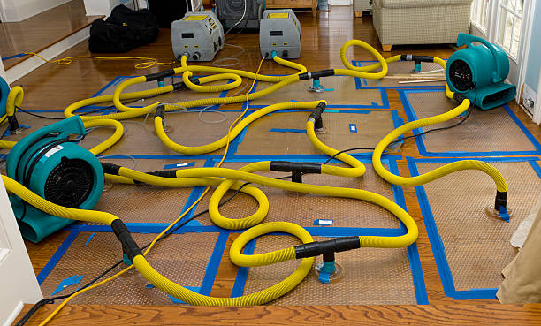 Professional Basement Flood Cleanup technician working in San Quentin, CA